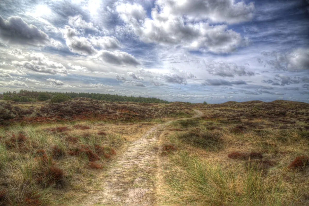 Is a 10-Z Bunker Tour Worth It? My Honest Review