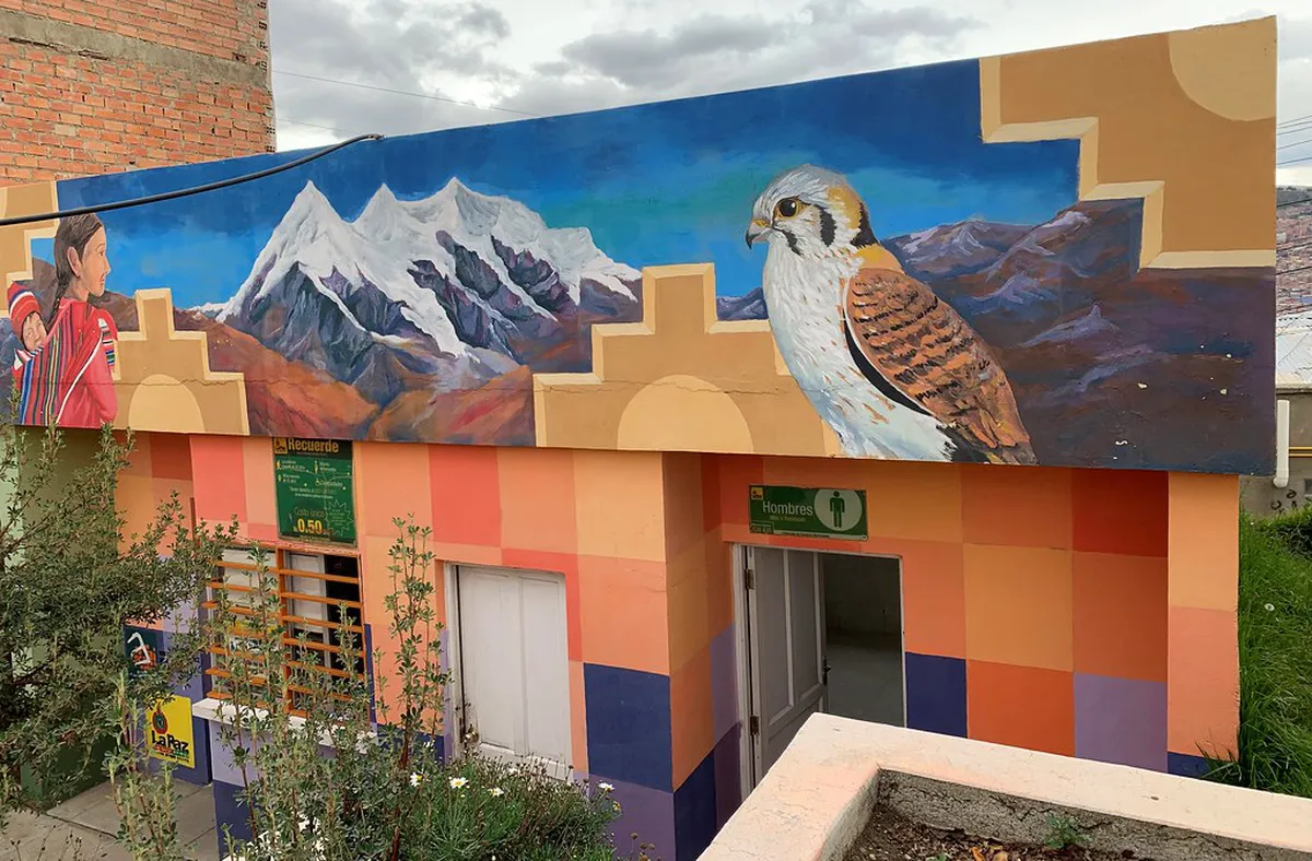 Best Free Panoramic Viewpoints in Brno (2026)