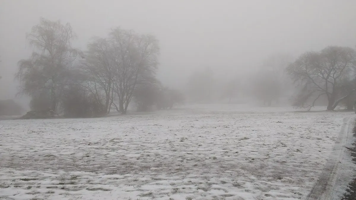 Best Time for Kravi Hora Park Walking Trails in Brno