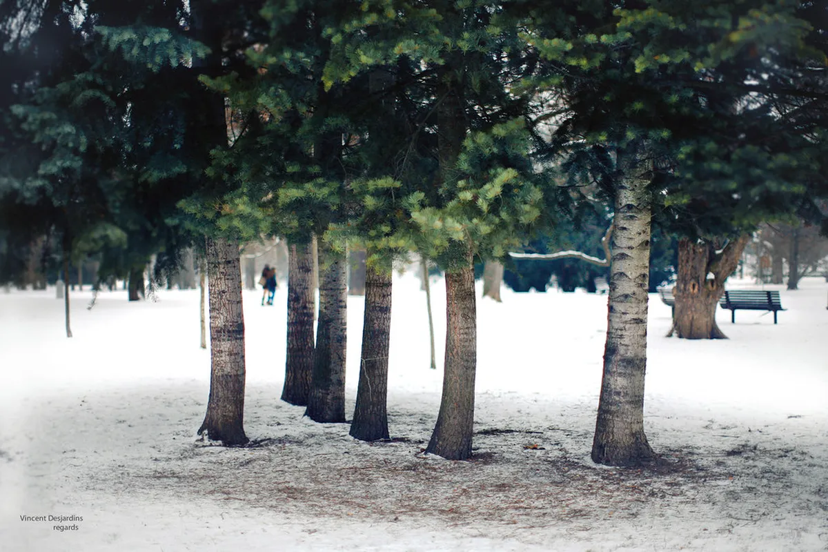 10 Best Luzanky Park Walking Paths in Brno (2026)