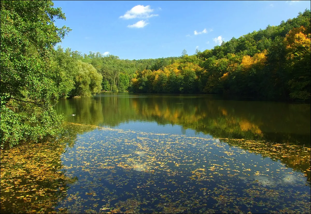 Marianske Udoli Valley Nature Walks: A 1-Day Brno Guide