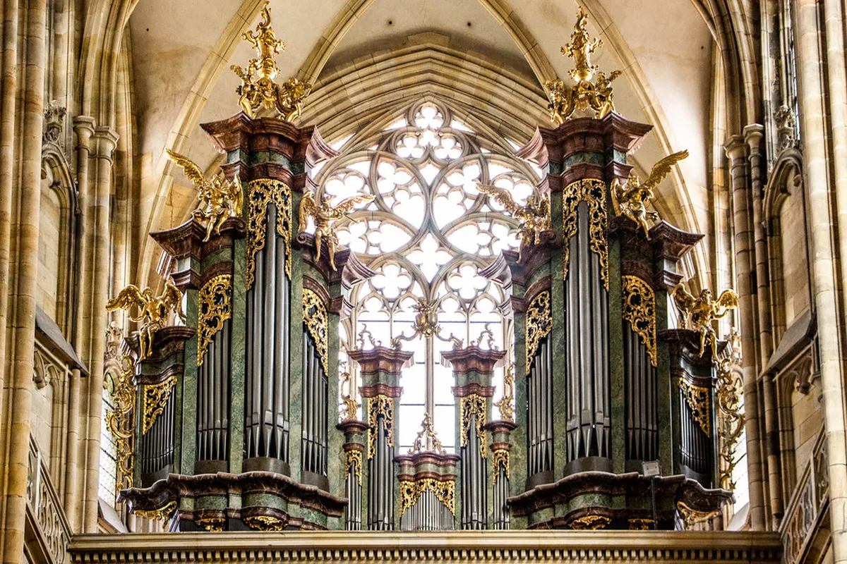 10 Essential South Moravia Public Transport Tips (2026)