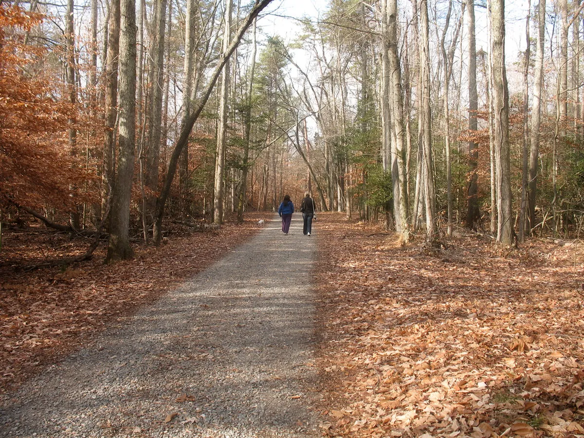 10 Best Walking Trails in Obora Holedna Deer Park Brno