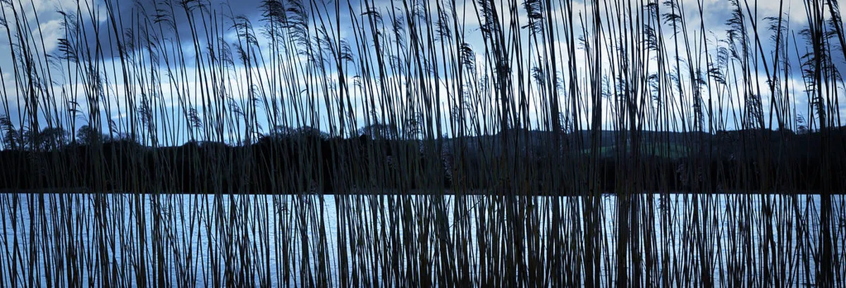 10 Best Wheelchair Accessible Walks Český Krumlov (2026)