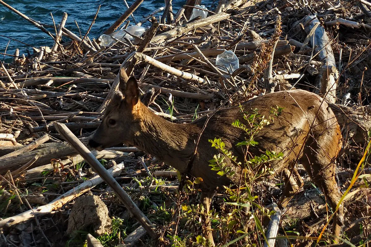 Guide to the Deer Leap Lookout Hike in Karlovy Vary