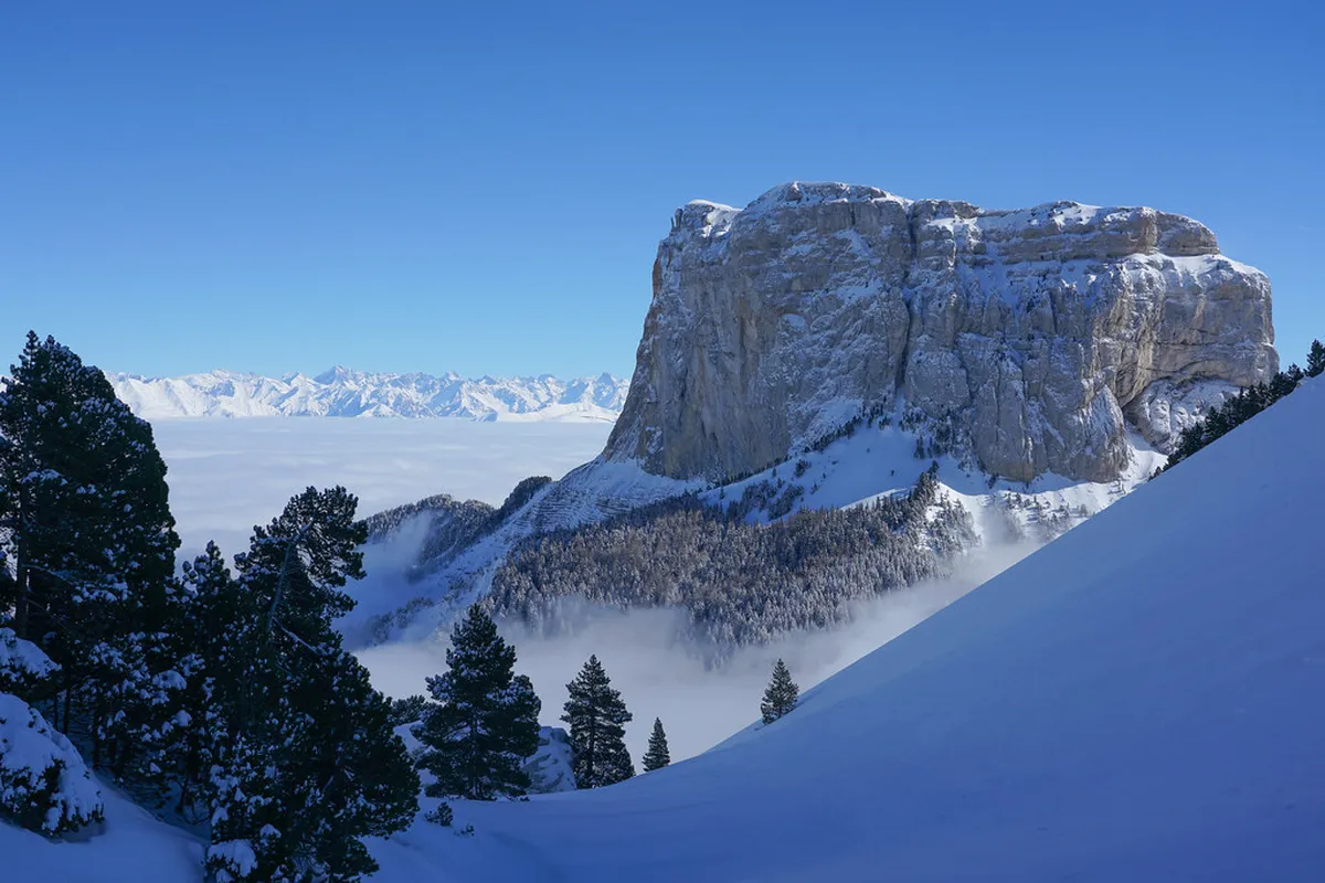 History of the Chamois Statue Karlovy Vary: 5 Facts