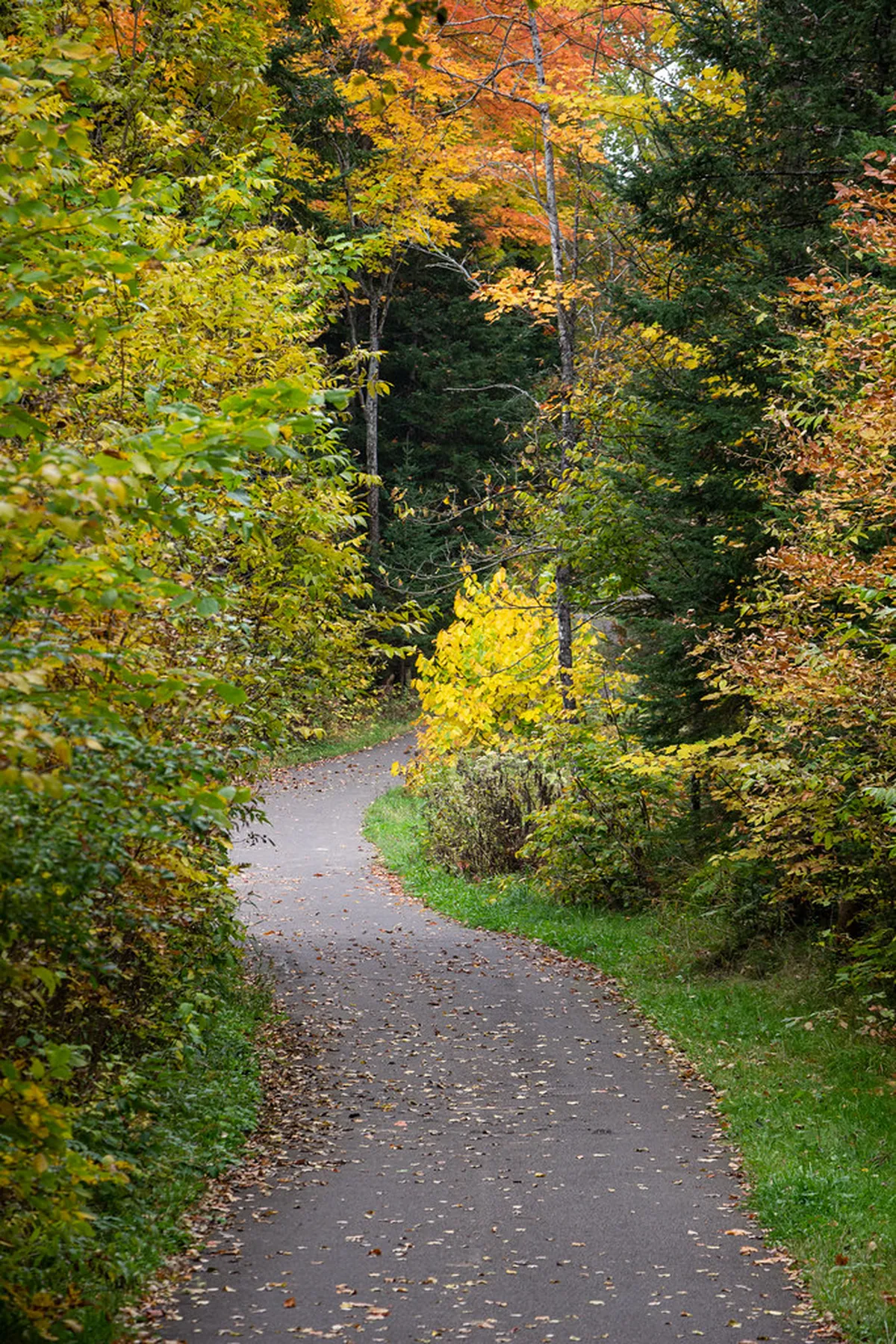 10 Best Things to See on a Soos National Nature Reserve Tour