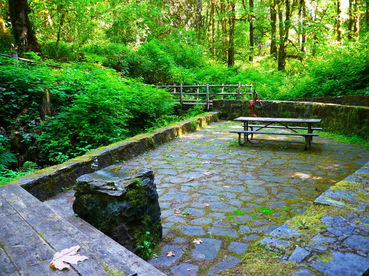 Best Spa Woods Hiking Trails in Karlovy Vary 2026