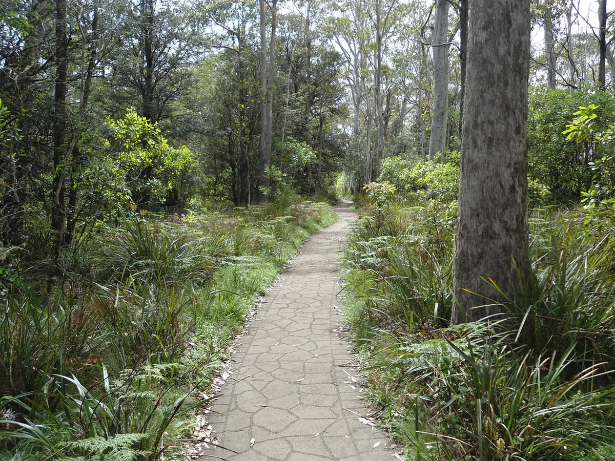 Wheelchair Friendly Lookouts in Karlovy Vary