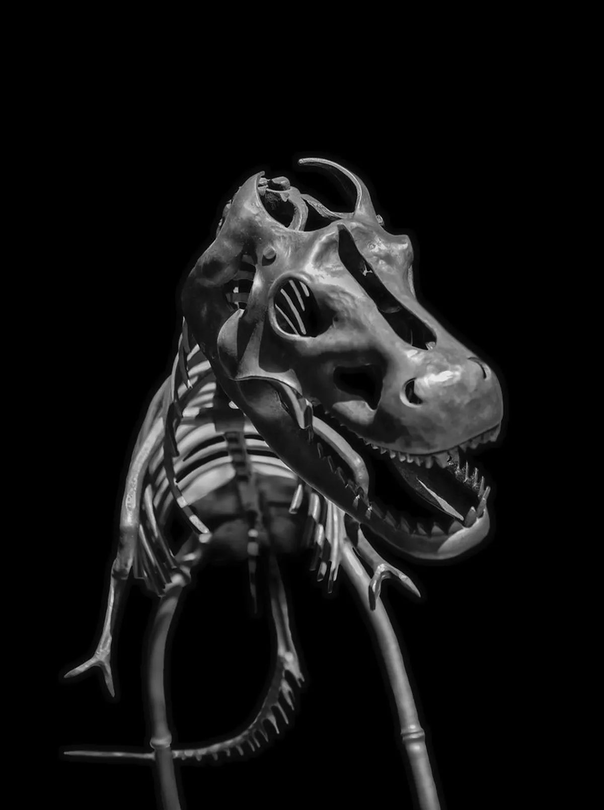 Helfštýn Castle Ruins Visit: Is It Worth Your Time?