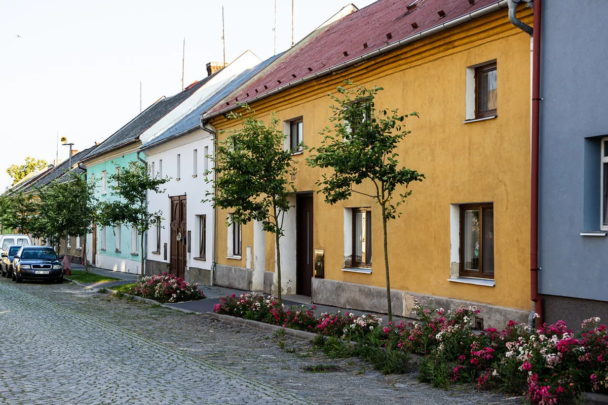 10 Litovelské Pomoraví Nature Trails Near Olomouc (2026)