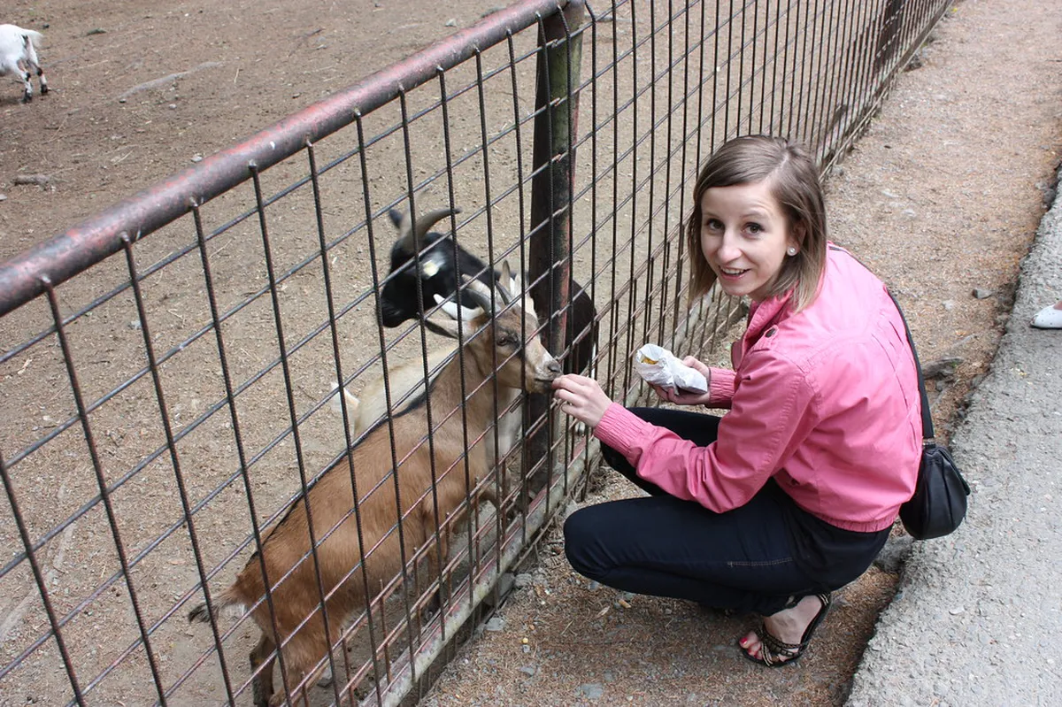 Olomouc Zoo Entrance Fees and Family Tickets: 2026 Guide