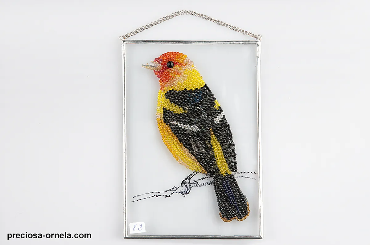 Guide to the Poděbrady Natural Lake Walking Path